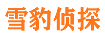 黎平市婚姻出轨调查